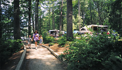 Walkway through campsites at an NCA Member Campground in Massachusetts!