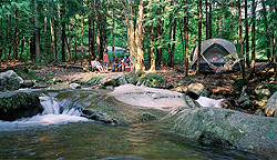 Tentsites at an NCA Member Campground in New Hampshire!