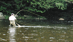 Fly fishing at an NCA Member Campground in New York!